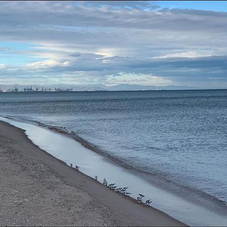 Beach Retreat فالنسيا المظهر الخارجي الصورة