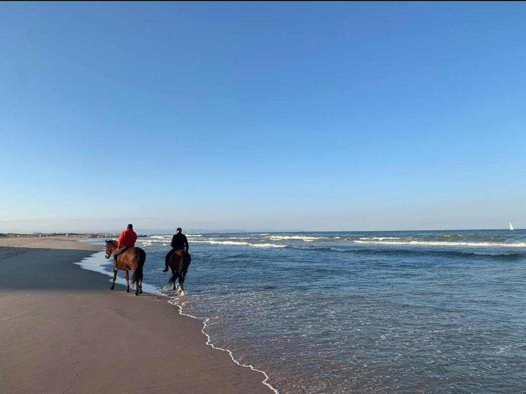 Beach Retreat فالنسيا المظهر الخارجي الصورة